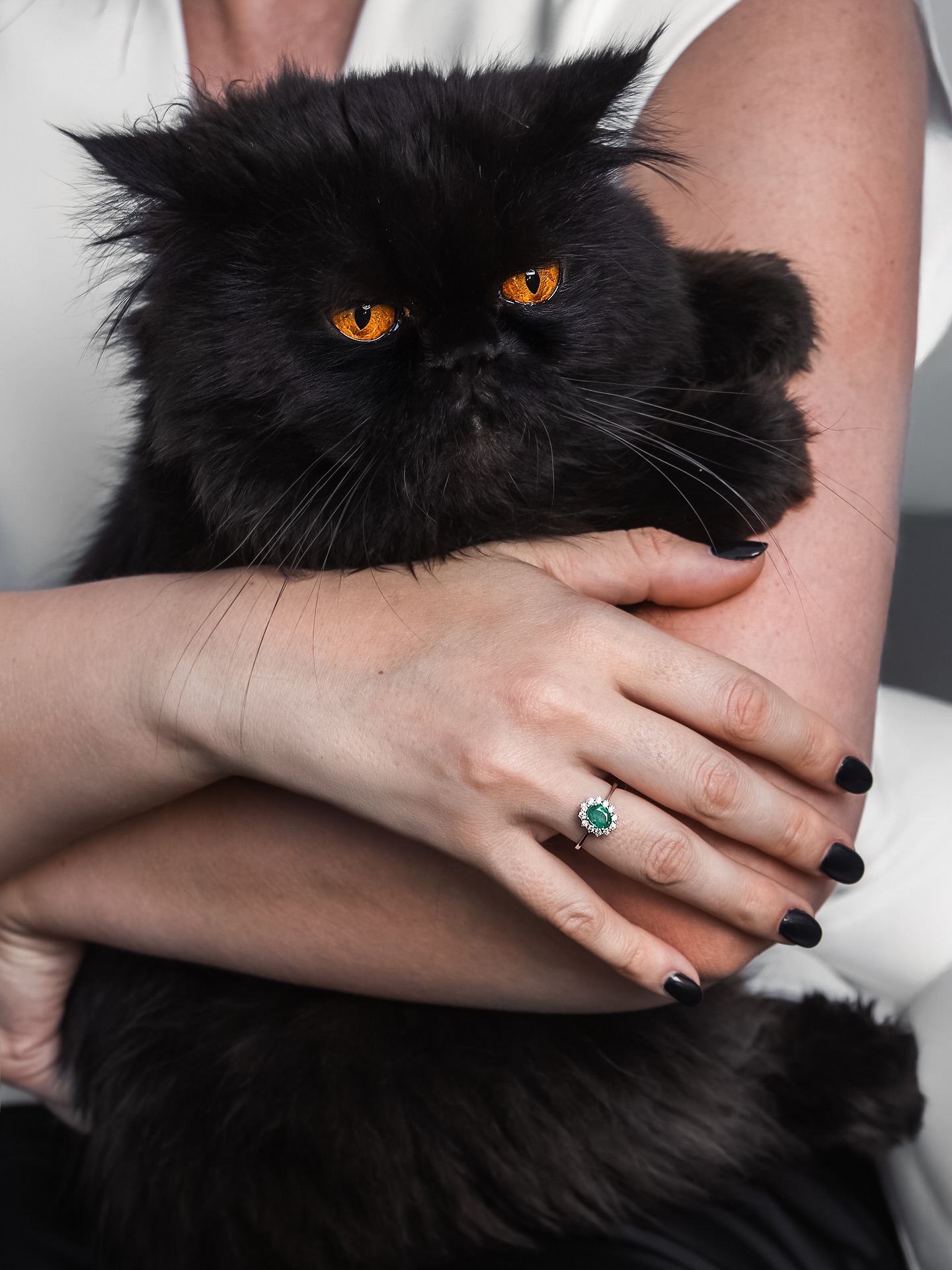 Anillos de oro - Nicoletta Jewelry